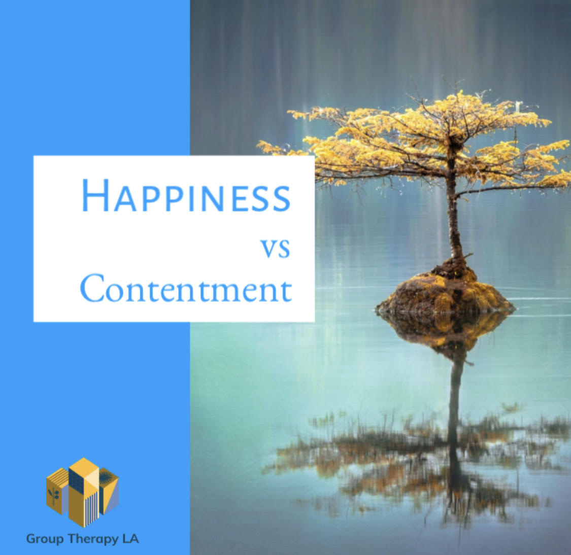 Happiness vs Contentment