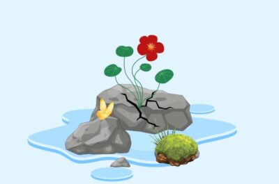 Stress Resilience: Is Stress Inherently Harmful or Can It Be Functionally Adaptive?